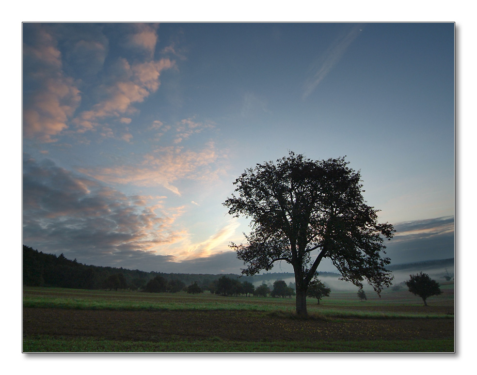 2011 herbst12b