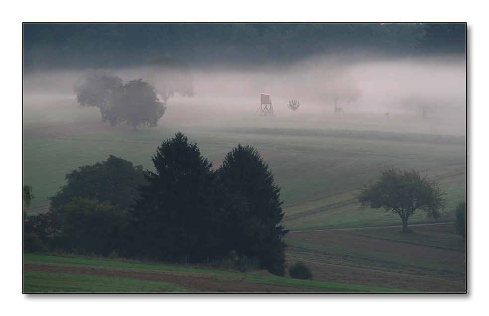2011 herbst13