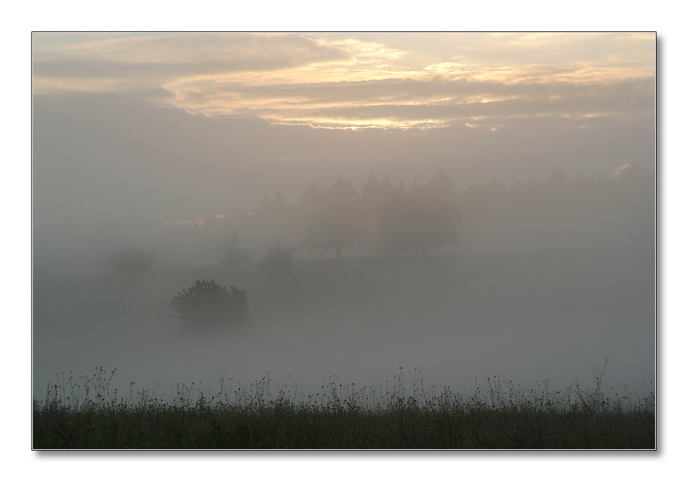 2011 herbst14