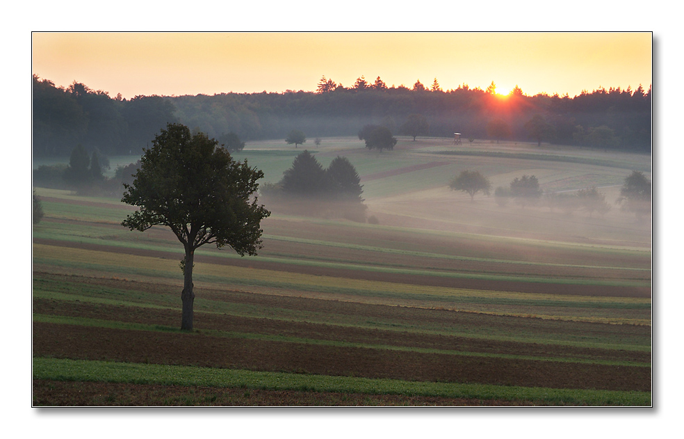 2011 herbst15