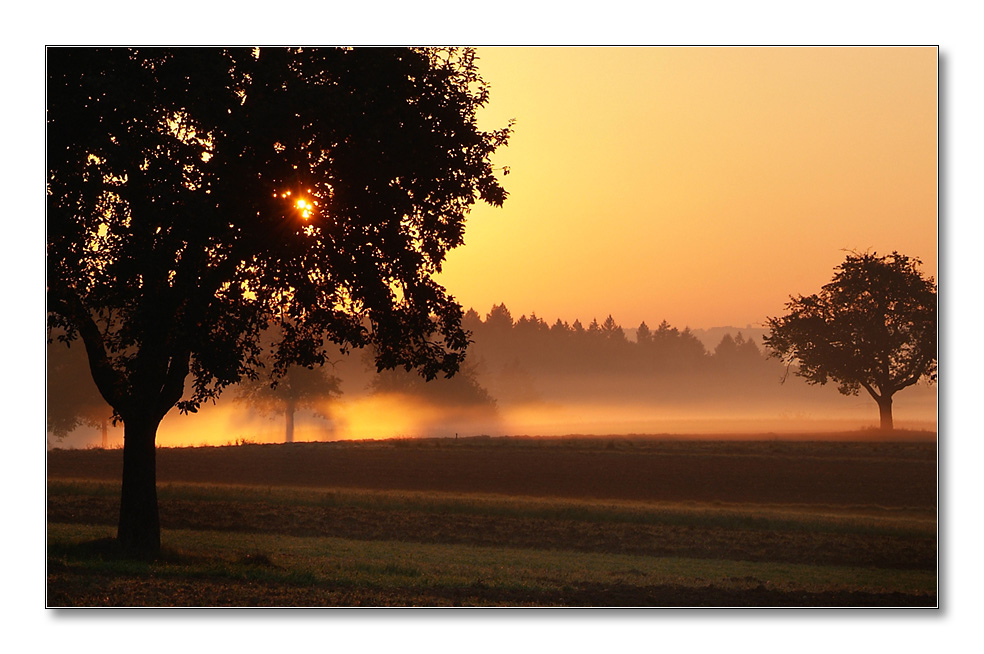 2011 herbst16