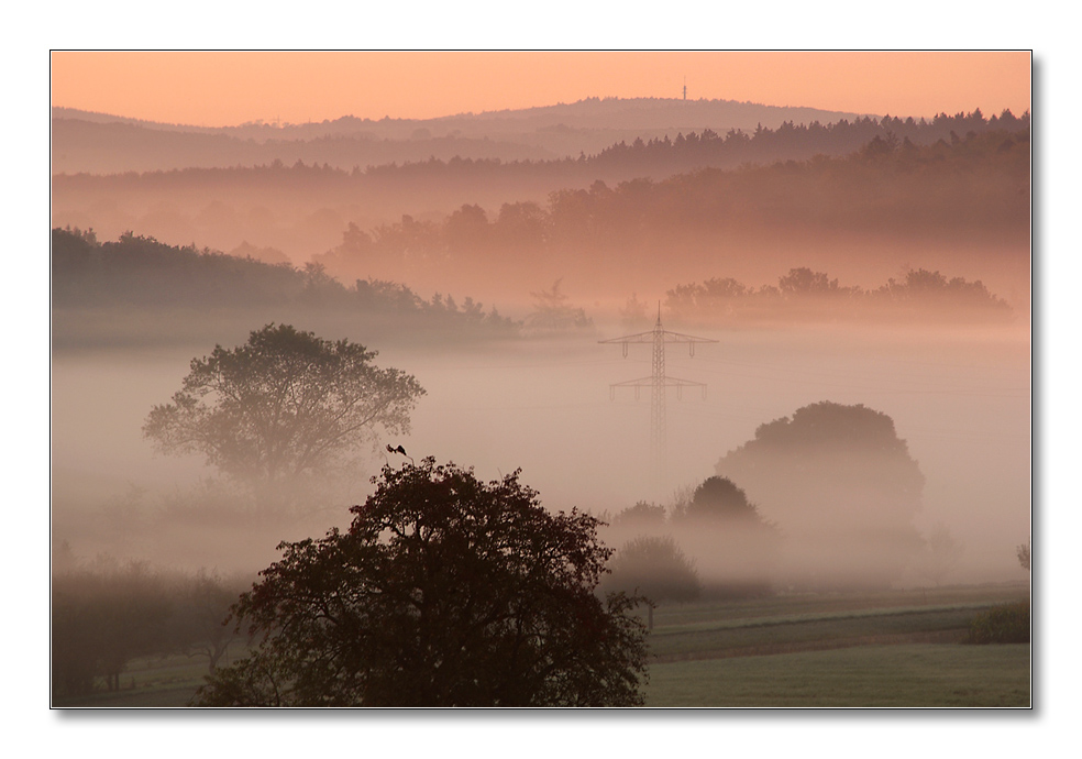 2011 herbst17