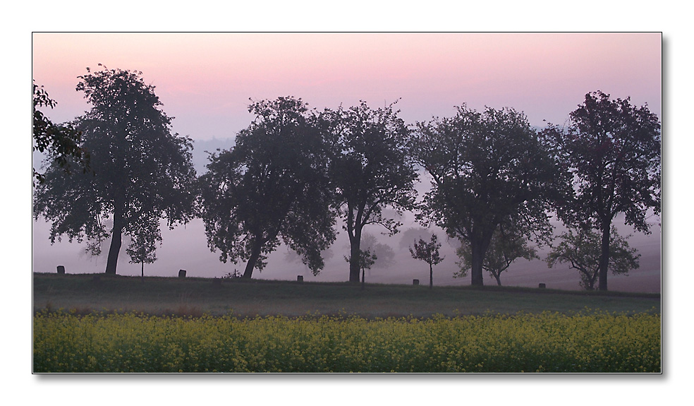 2011 herbst18