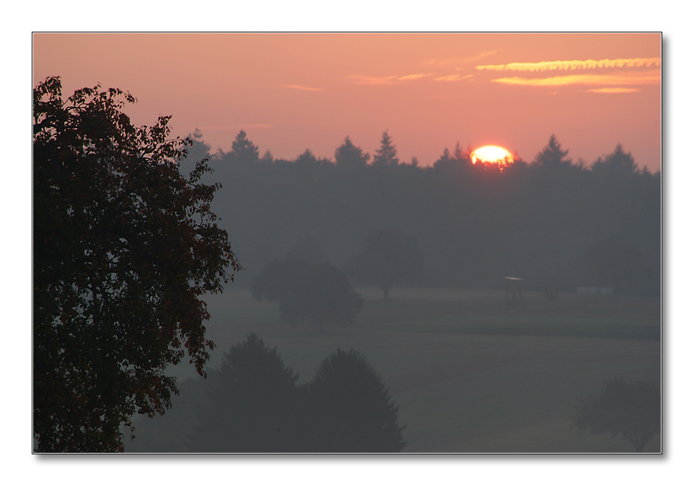 2011 herbst19