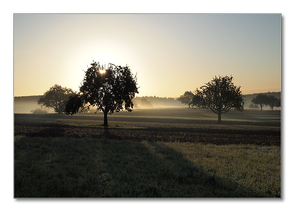 2011 herbst2