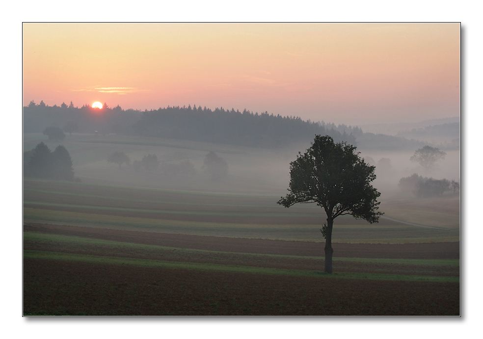 2011 herbst20