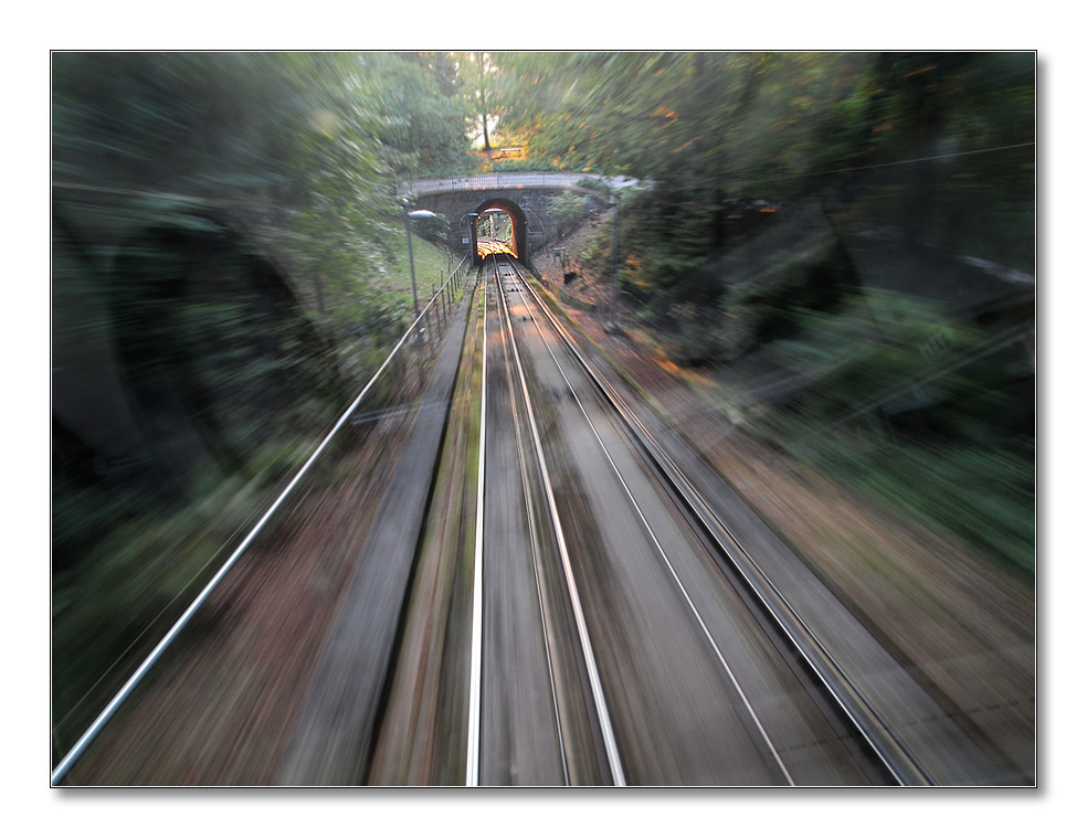 2011 herbst23