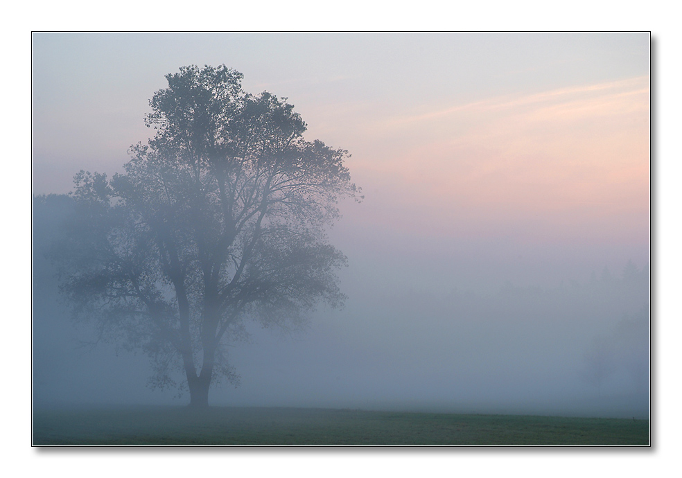 2011 herbst25
