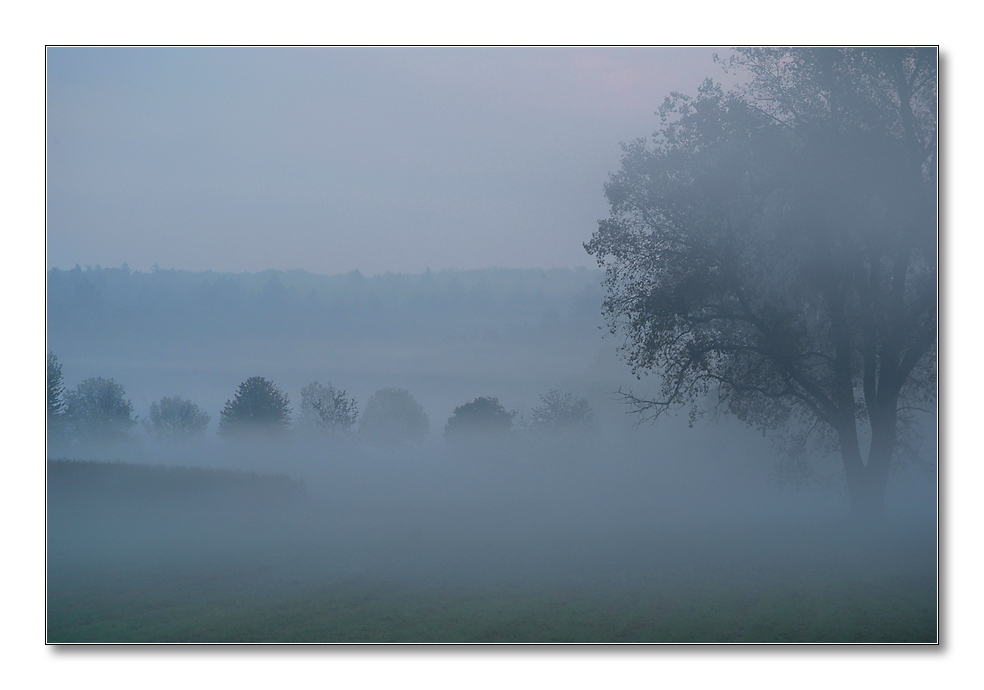 2011 herbst26