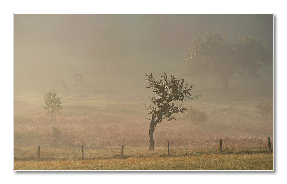 2011 herbst27