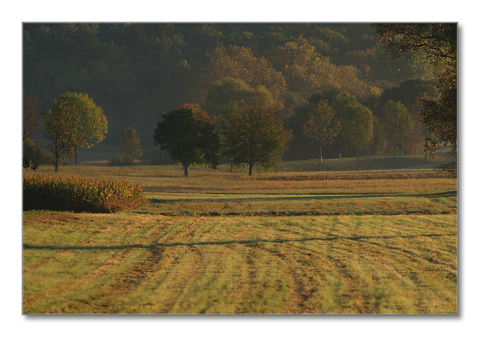 2011 herbst28