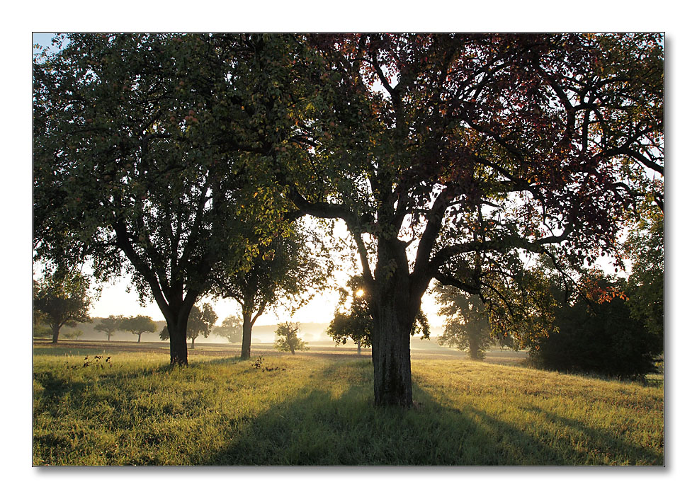 2011 herbst3