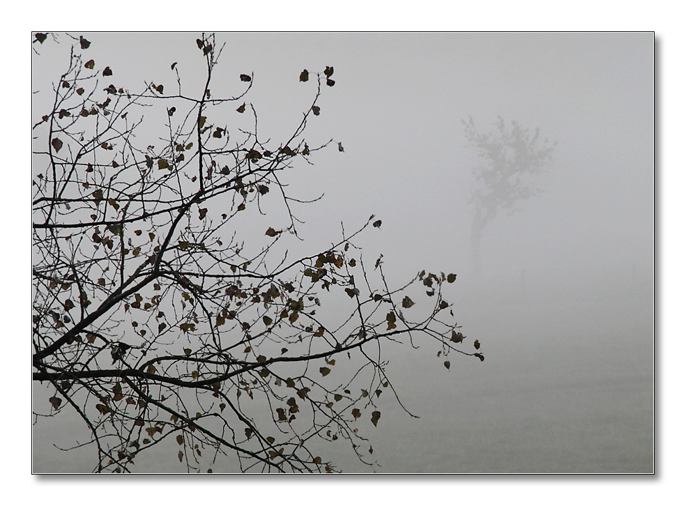 2011 herbst30