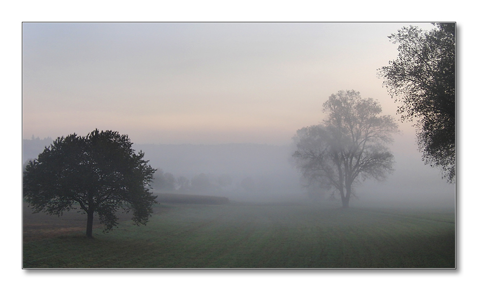 2011 herbst31