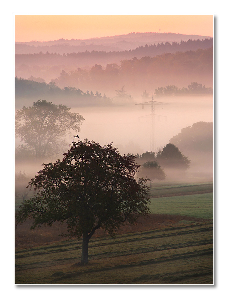 2011 herbst33