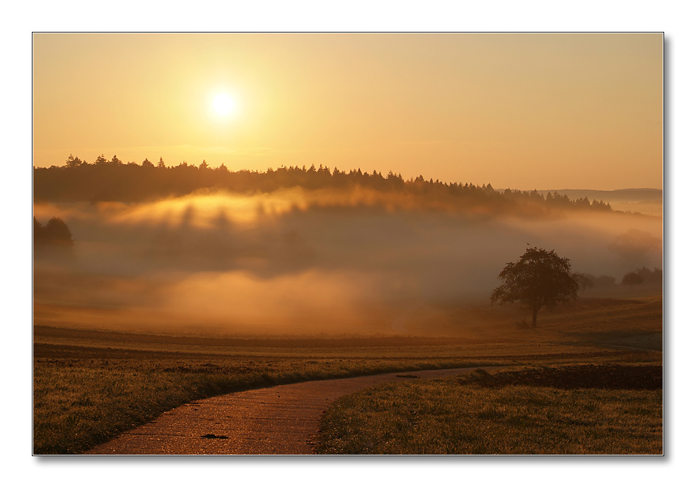 2011 herbst4