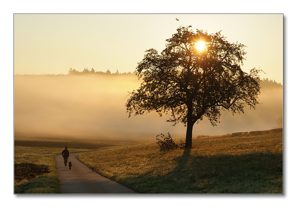 2011 herbst6