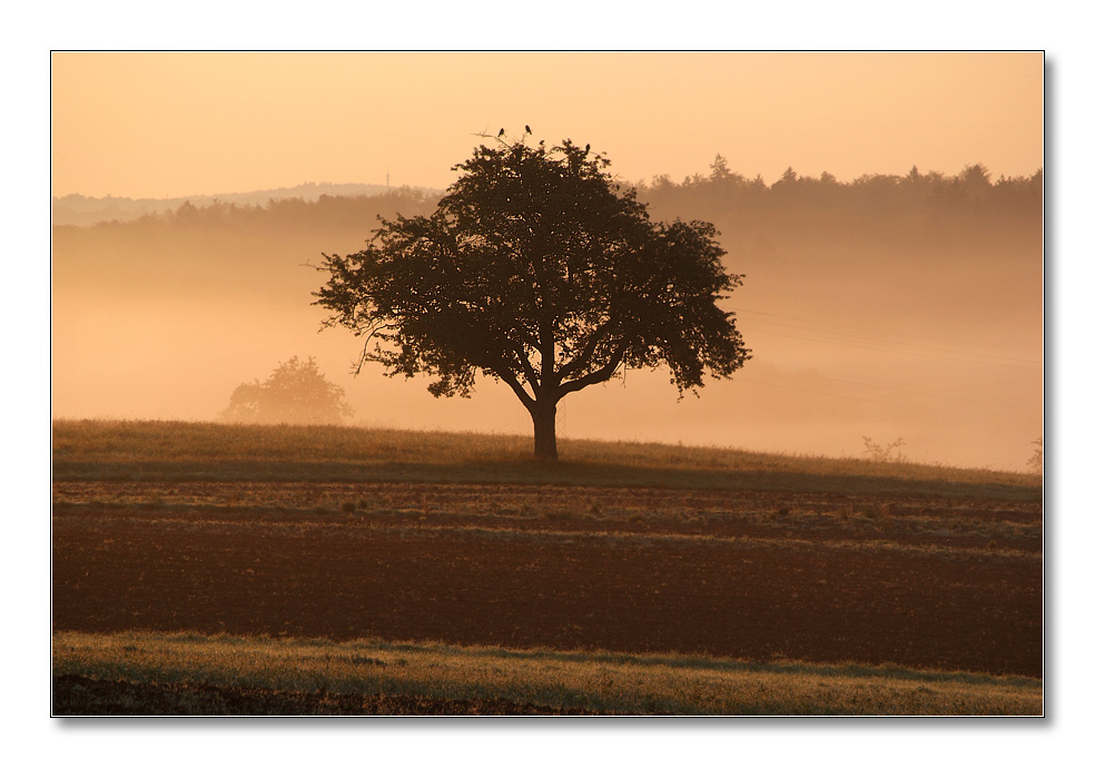 2011 herbst7
