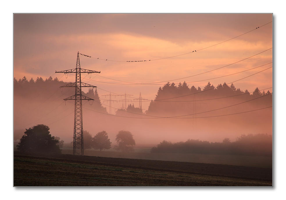 2011 herbst9