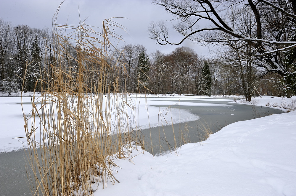 2011012512583566