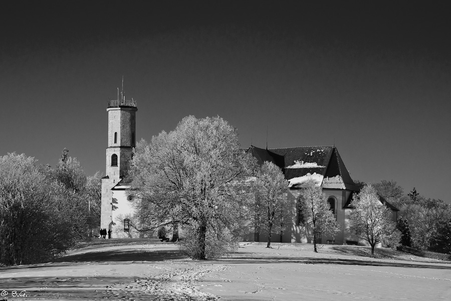 20110130 DSC 5825 Bearbeitet 1