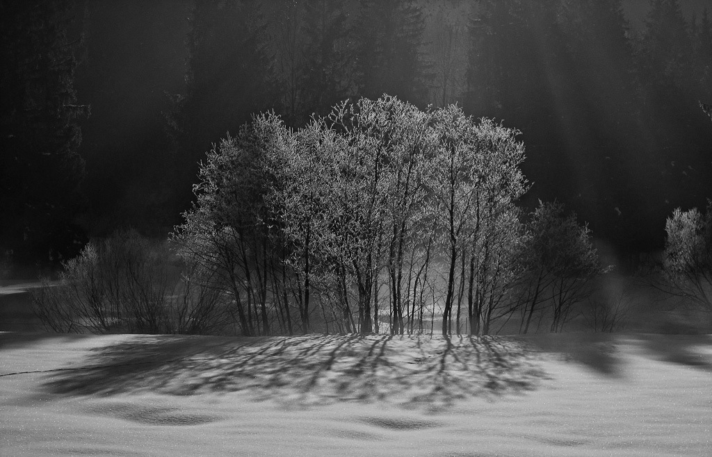 20110205 100150 sw