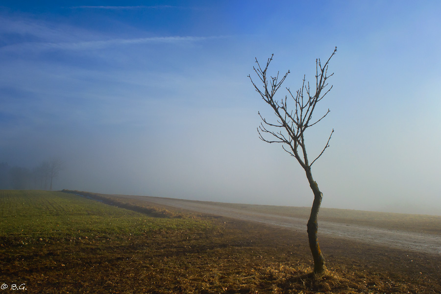 20110210 DSC 5900 Bearbeitet 1