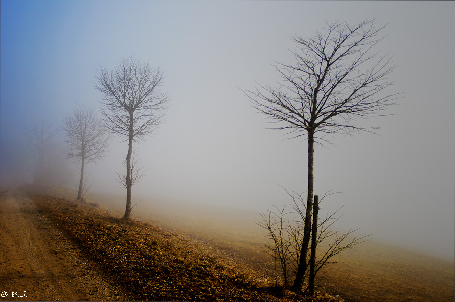 20110210 DSC 5911 Bearbeitet 1