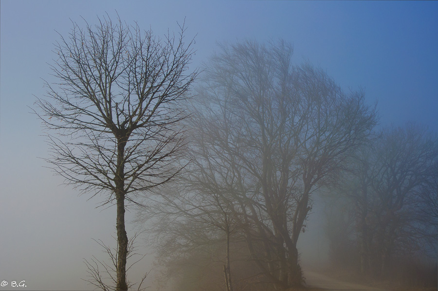 20110210 DSC 5913 Bearbeitet 2