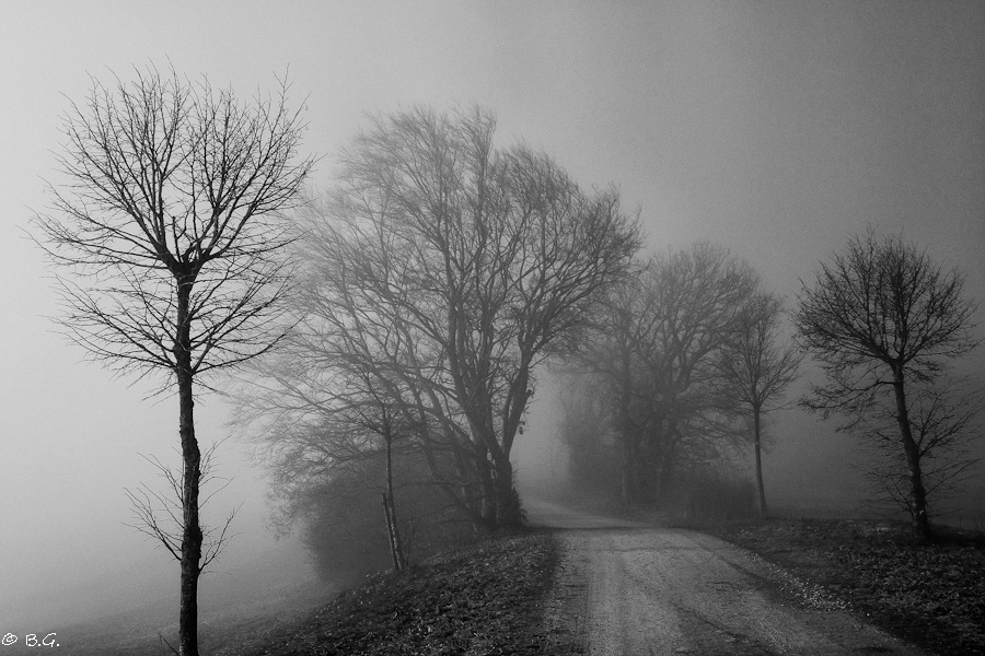 20110210 DSC 5914 Bearbeitet Bearbeitet 1