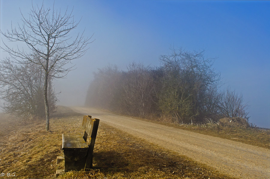 20110210 DSC 5919 Bearbeitet 1