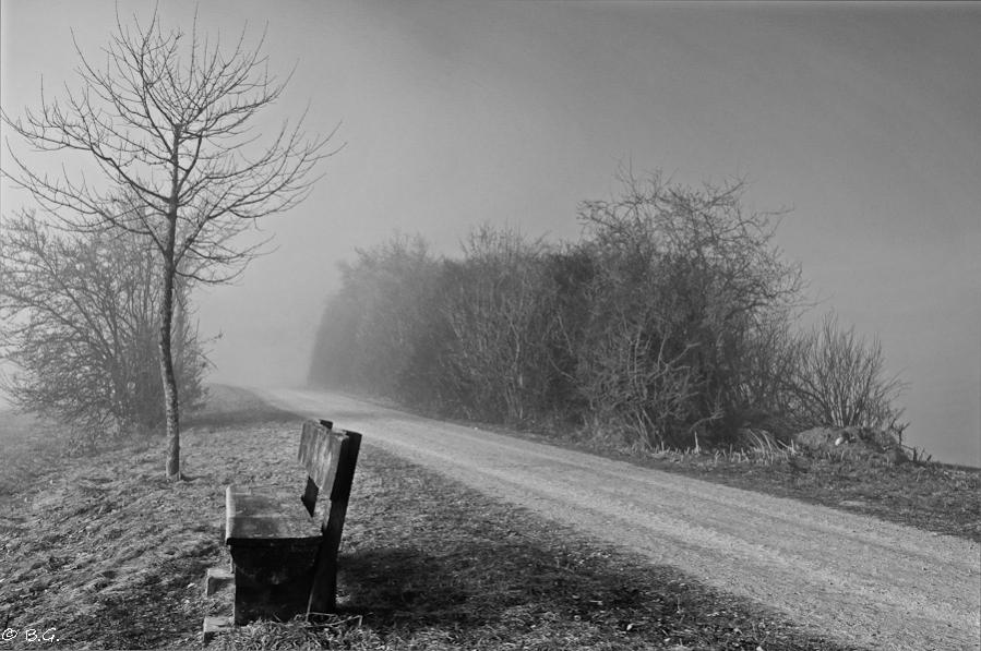 20110210 DSC 5919 bw Bearbeitet 1