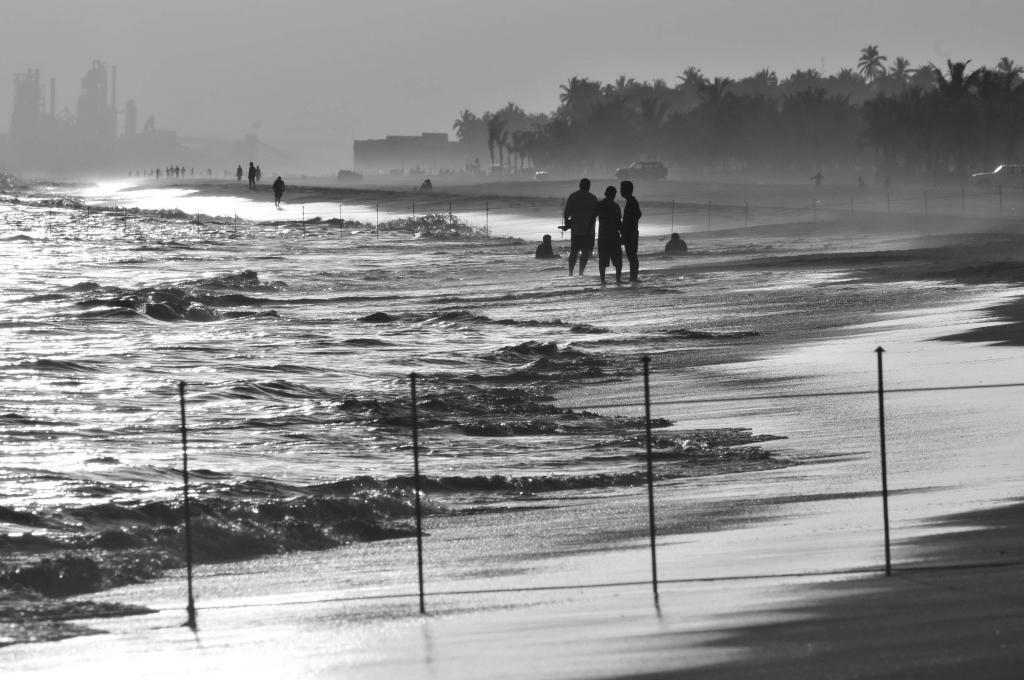 20110225 380