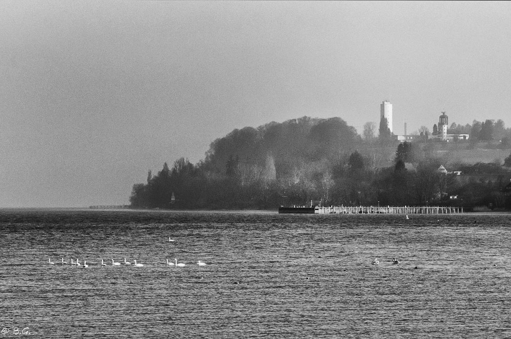 20110305 DSC 6198