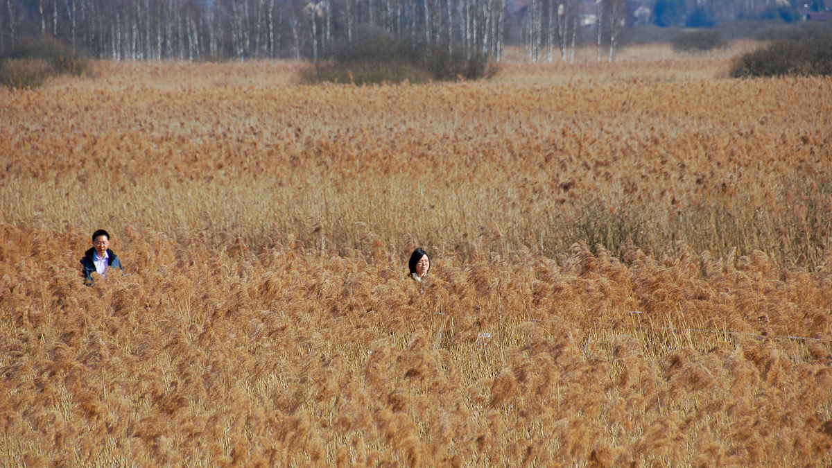20110312-DSC_0540.jpg