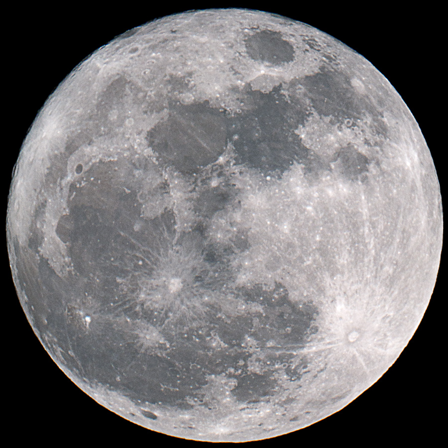 20110319 DSC 7572