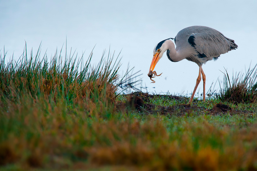20110319  DSC7422
