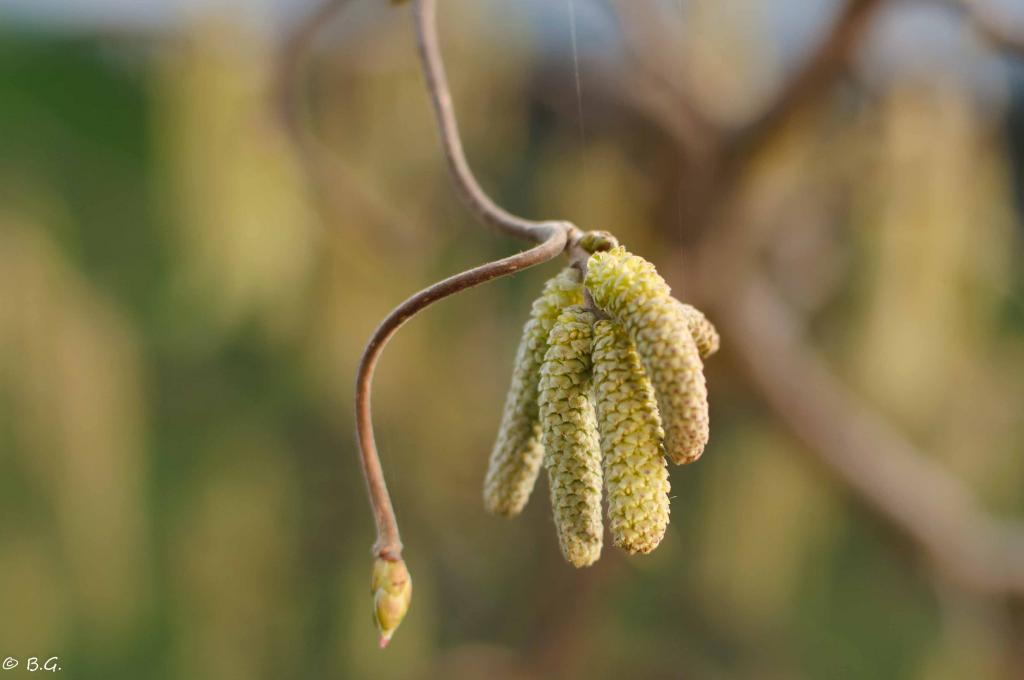 20110322 DSC 6341