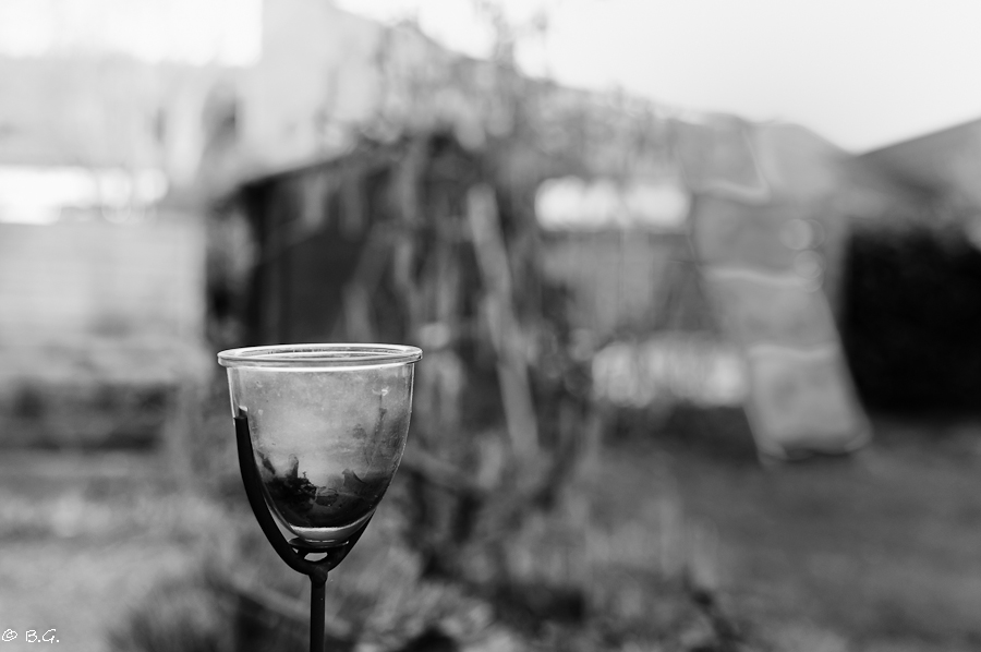 20110325 DSC 6406 Bearbeitet
