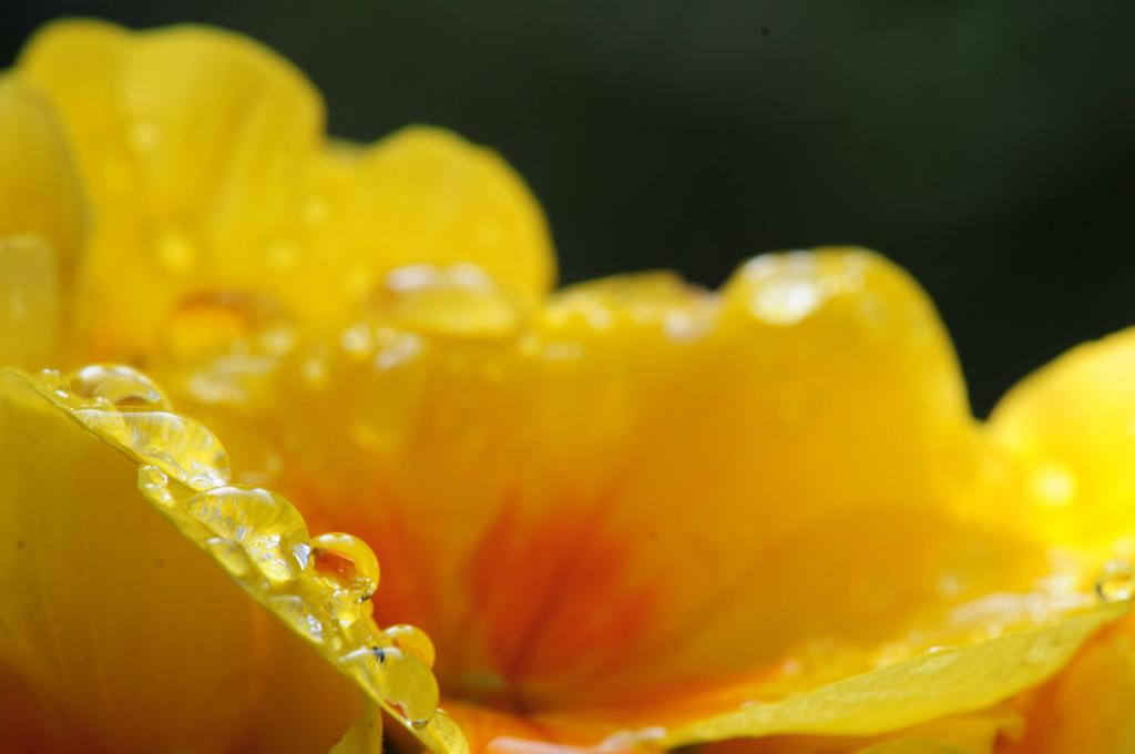 20110327 145452