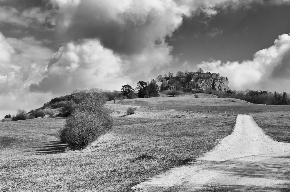 20110328 DSC 6486 Bearbeitet