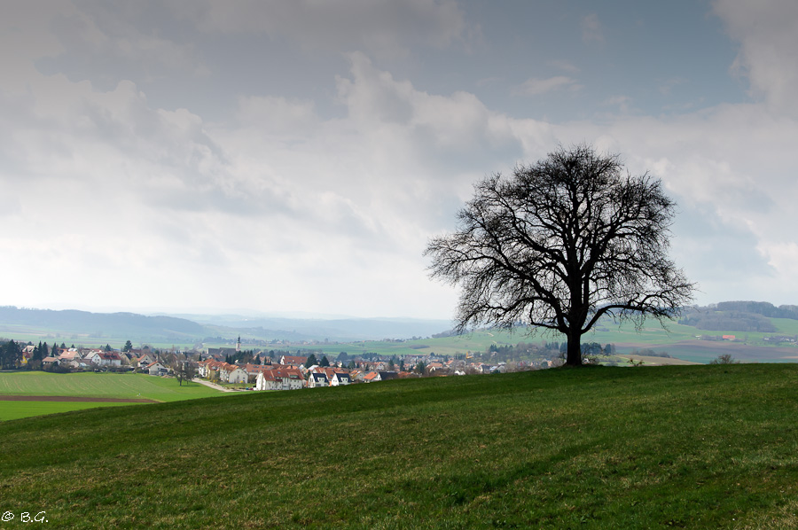 20110328 DSC 6504