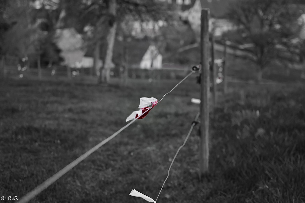 20110330 DSC 6519 Bearbeitet