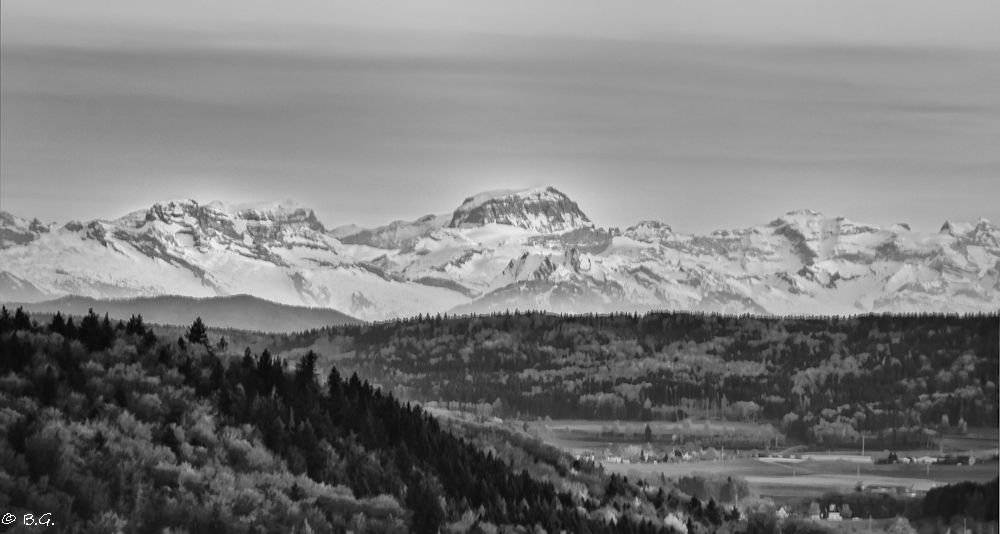 20110406 DSC 6582