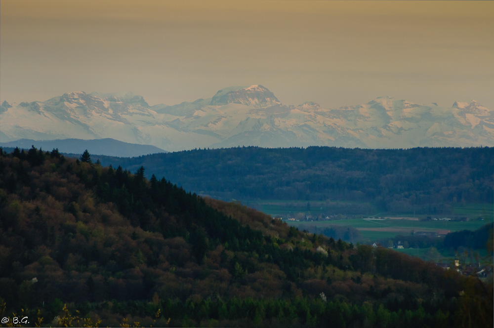 20110406 DSC 6583 Bearbeitet Bearbeitet