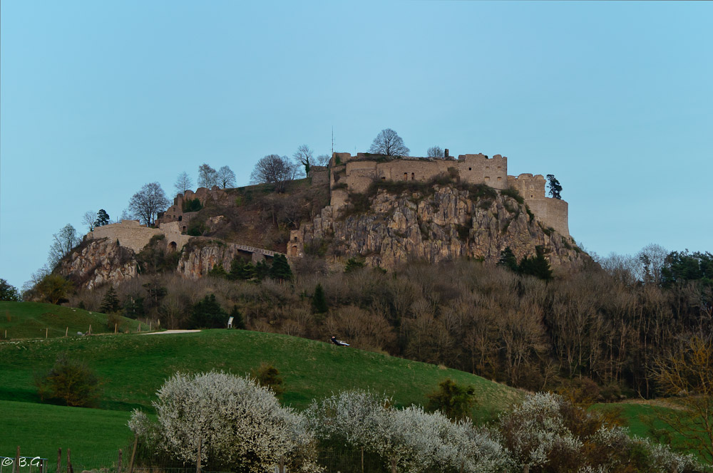 20110406 DSC 6584 Bearbeitet Bearbeitet