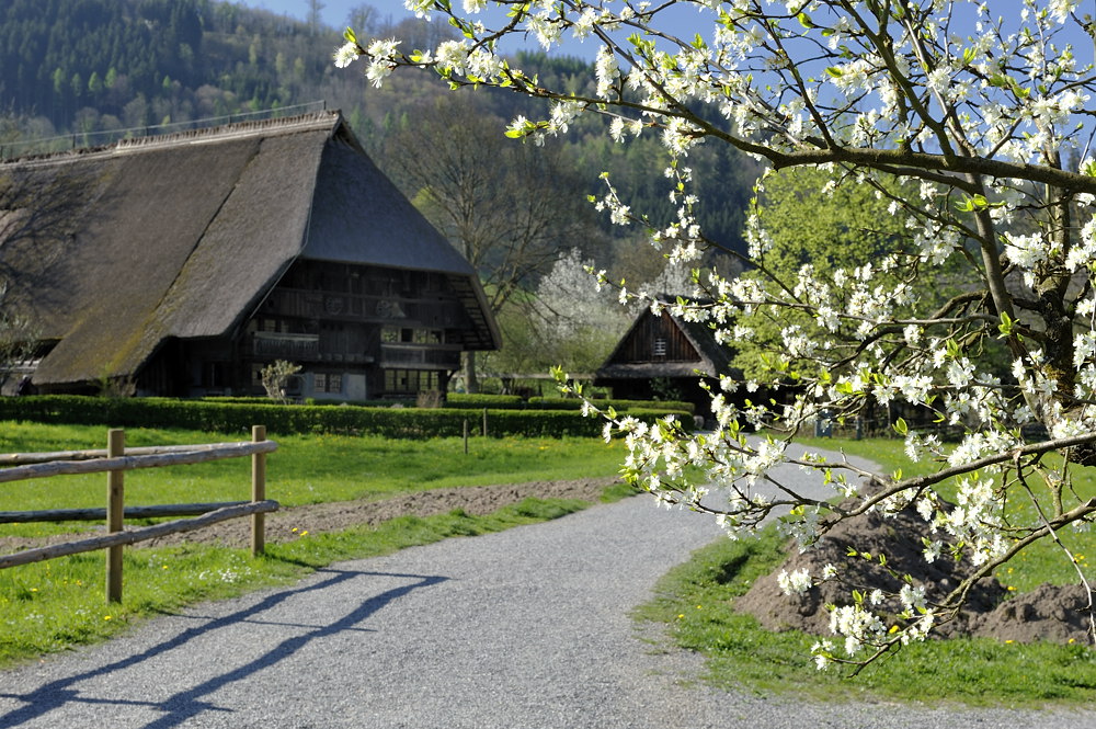 2011040816231855