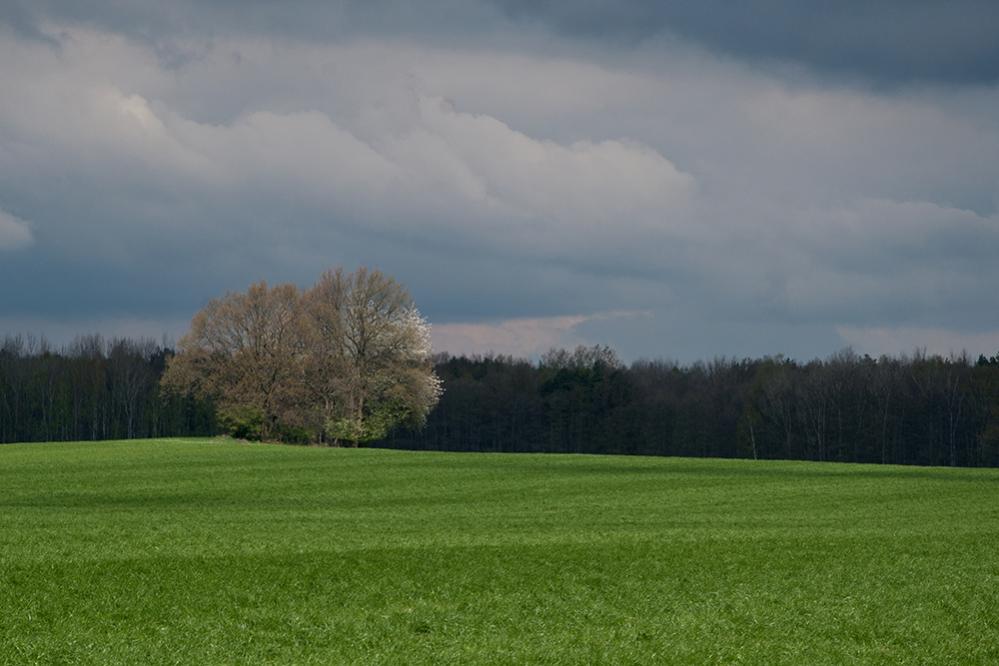 20110415 DSC6466 Aprilstimmung 1