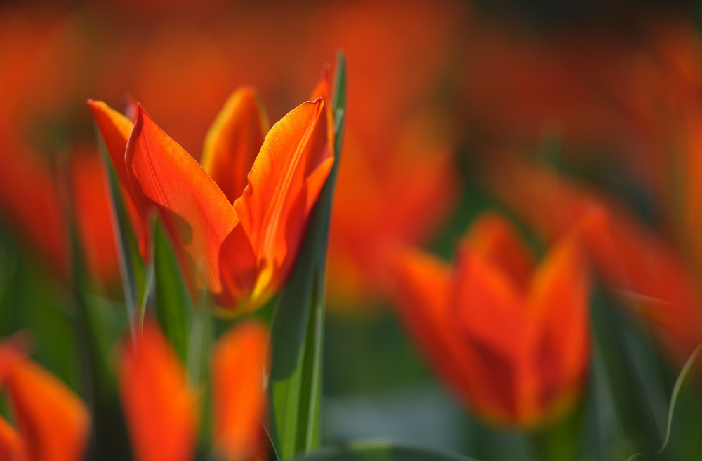 20110416 143126