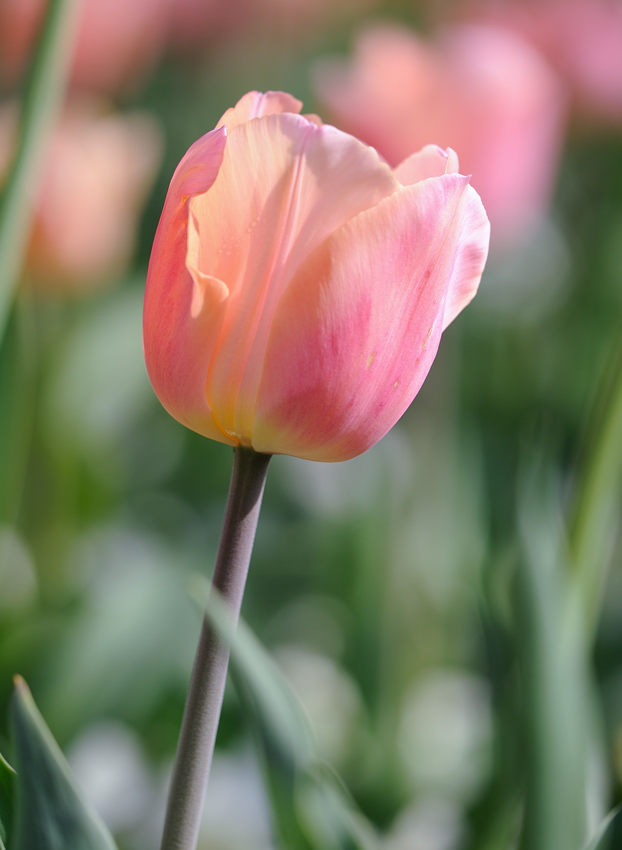 20110416 154806
